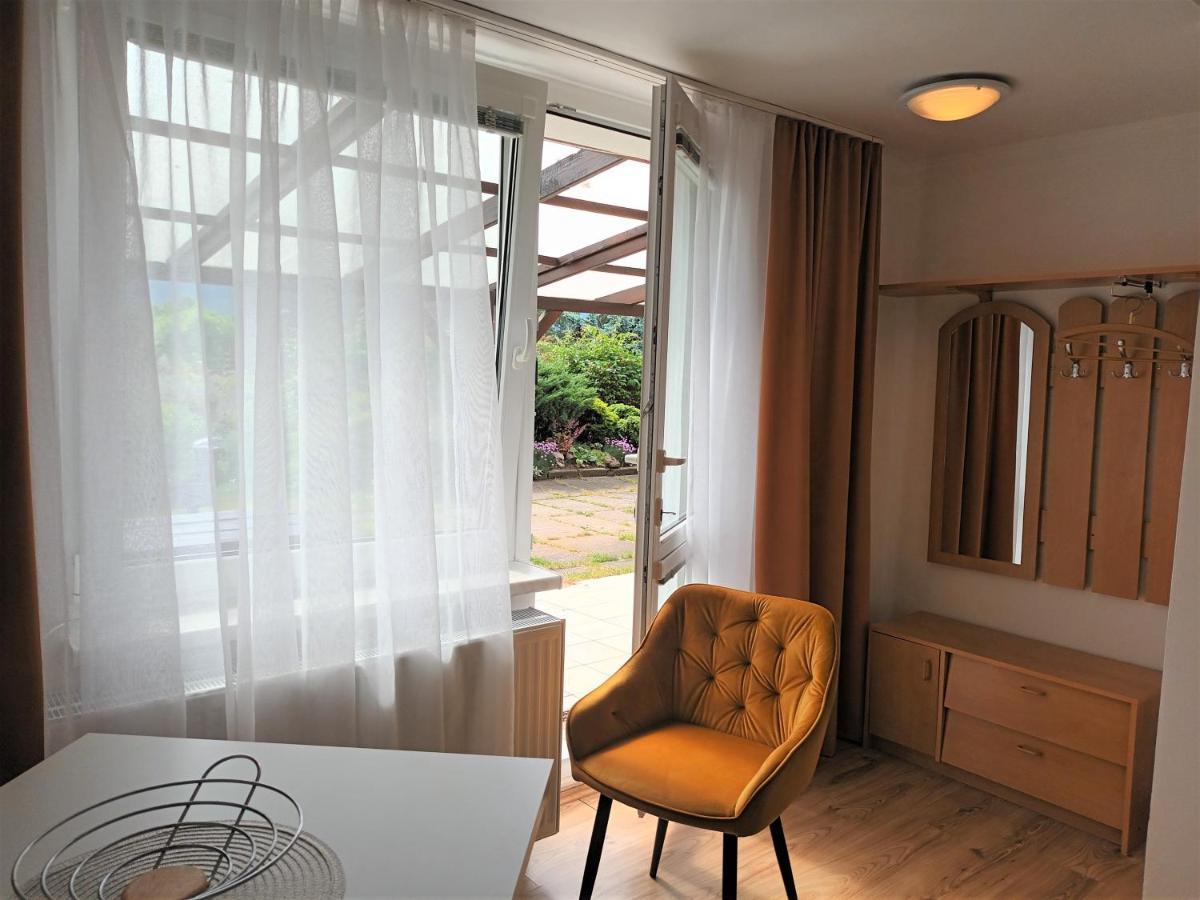 Apartman Alena كارلوفي فاري المظهر الخارجي الصورة