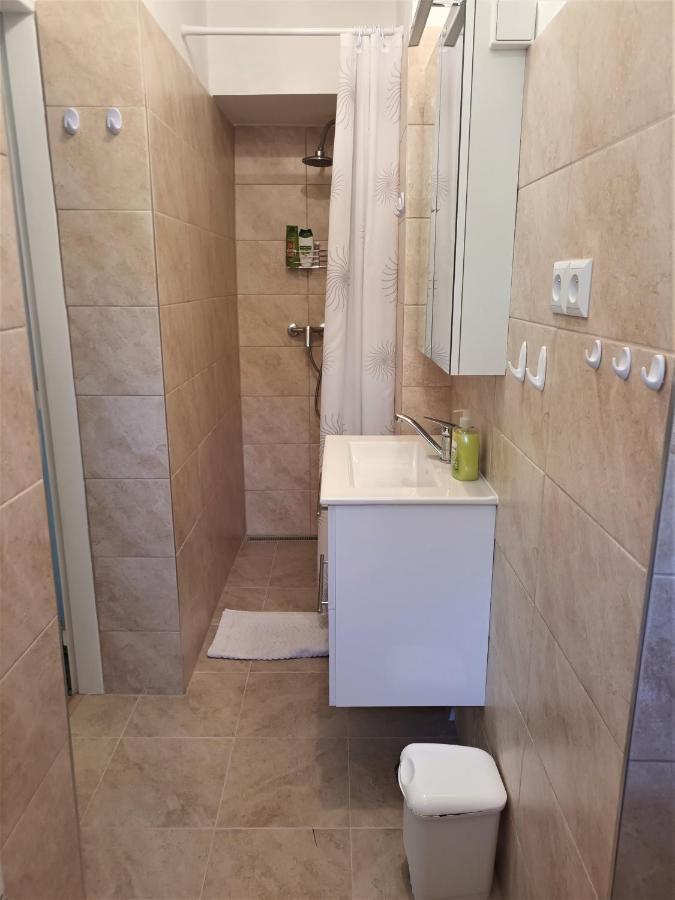 Apartman Alena كارلوفي فاري المظهر الخارجي الصورة