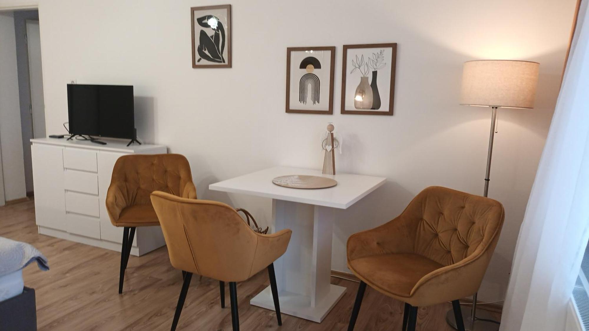 Apartman Alena كارلوفي فاري المظهر الخارجي الصورة